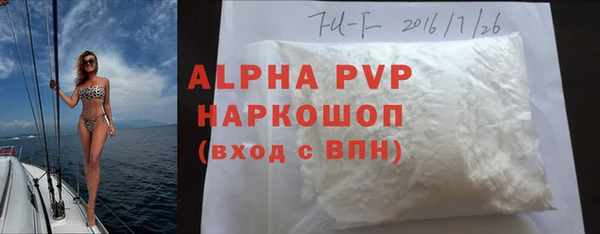 прущие грибы Баксан