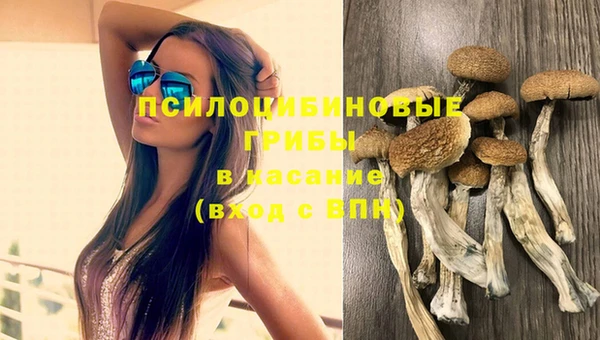 МДМА Белокуриха