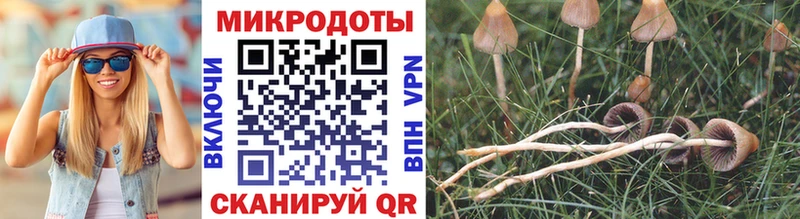 Псилоцибиновые грибы MAGIC MUSHROOMS  МЕГА вход  Серов  как найти  